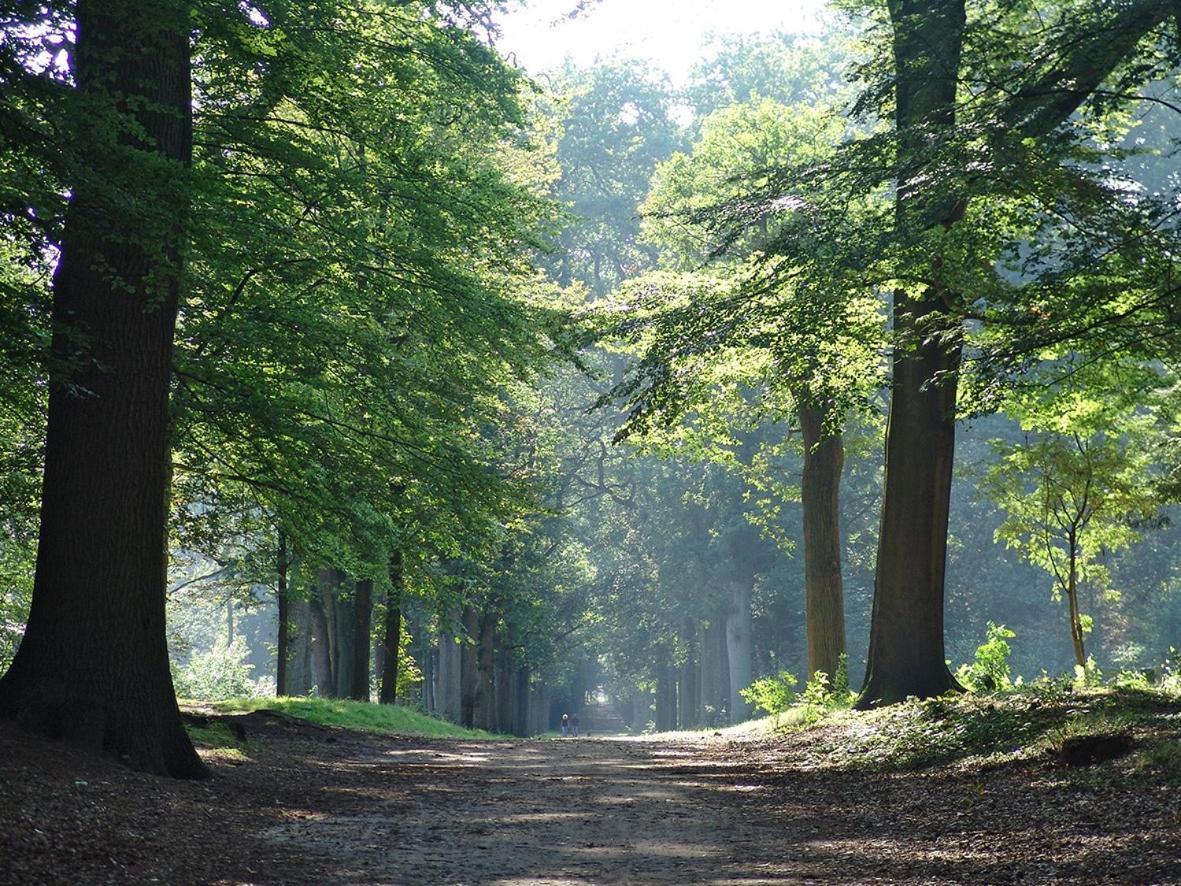 Luxe Safaritent Medley 5 Persoons Op Camping Rijsterbos Esterno foto